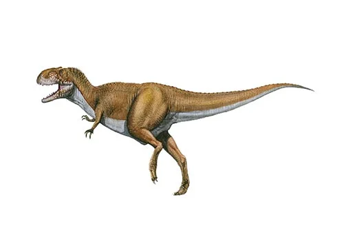 Abelisaurus ‭(‬Abel’s lizard‭)