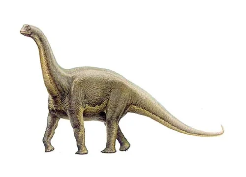 Alamosaurus ‭(‬Alamo lizard‭)‬