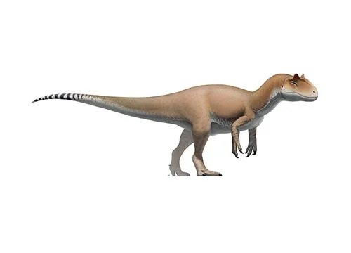 Allosaurus ‭(‬Different lizard‭)