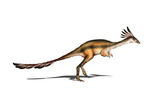 Alvarezsaurus ‭(‬Alvarez’s lizard‭)
