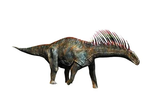 Amargasaurus ‭(‬Amarga lizard‭)
