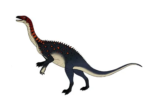 Ammosaurus ‭(‬sand lizard‭)