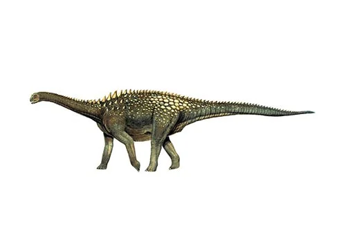 Ampelosaurus ‭(‬Vine lizard‭)