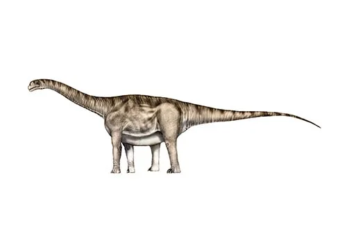 Aragosaurus ‭(‬Aragon lizard‭)