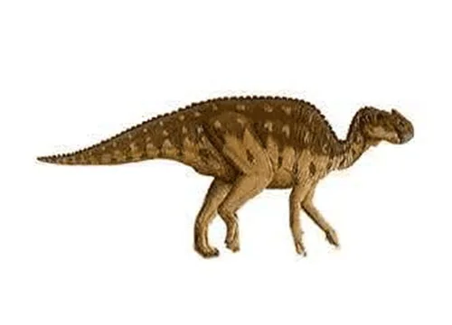 Aralosaurus ‭(‬Aral lizard‭ ‬-‭ ‬after the Aral sea‭)