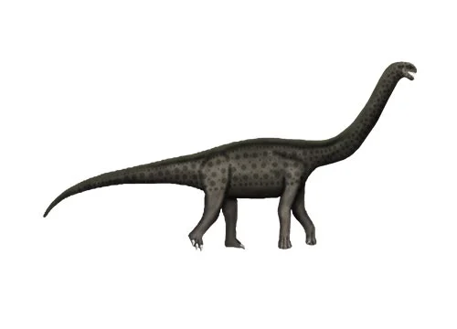Austrosaurus (Southern lizard)