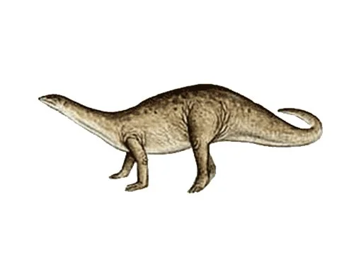 Azendohsaurus ‭(‬Azendoh lizard‭)