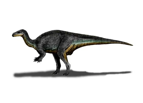 Camptosaurus ‭(‬Bent lizard‭)‬