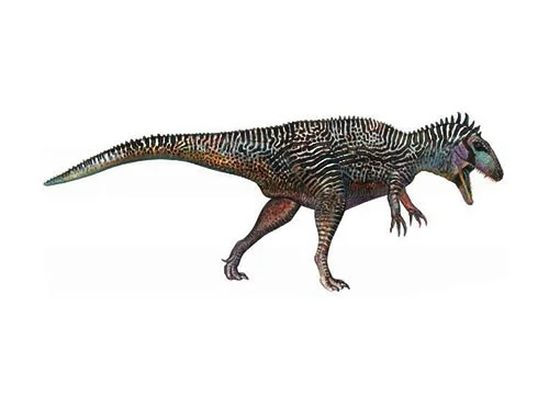 Carcharodontosaurus ‭(‬Shark toothed lizard‭)‬