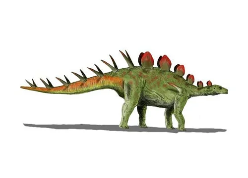 Chialingosaurus ‭(‬Chialing lizard after the Chialing River‭)‬