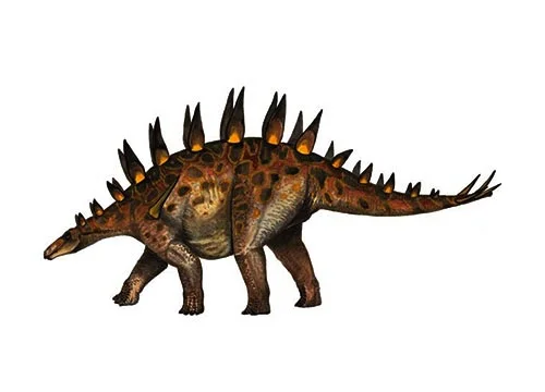 Chungkingosaurus ‭(‬Chungking lizard‭)