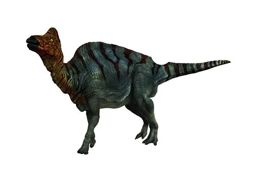 Corythosaurus ‭(‬Helmet lizard‭)
