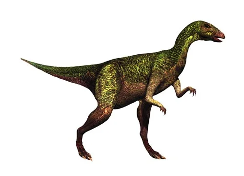 Dryosaurus (Oak lizard)