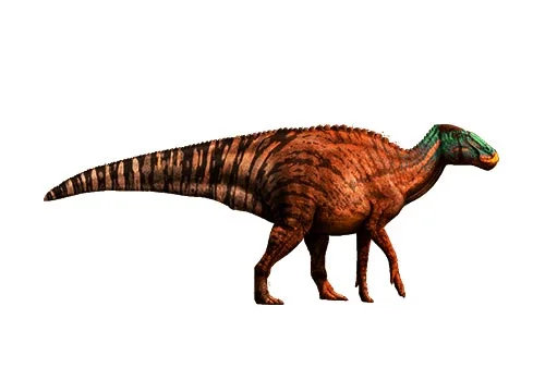 Edmontosaurus ‭(‬Edmonton lizard‭)