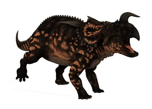 Einiosaurus ‭(‬Buffalo lizard‭)