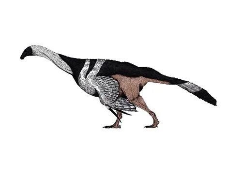 Erlikosaurus ‭(‬Erlik’s lizard‭)