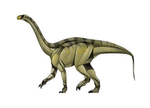 Euskelosaurus ‭(‬good leg lizard‭)