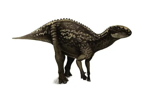 Fukuisaurus‭ (‬Fukui lizard‭)‬