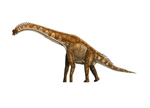 Giraffatitan‭ (‬Giraffe titan‭)