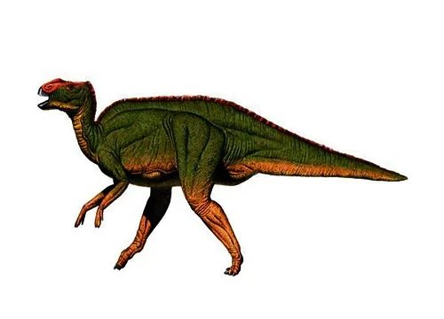 Hadrosaurus ‭(‬Sturdy lizard‭)‬