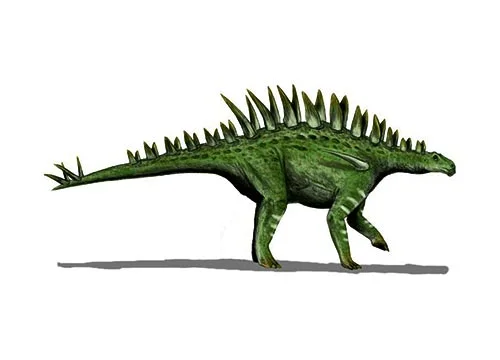 Huayangosaurus ‭(‬Huayang lizard‭ ‬-‭ ‬Huayang is an alternative name for Sichuan Province‭)
