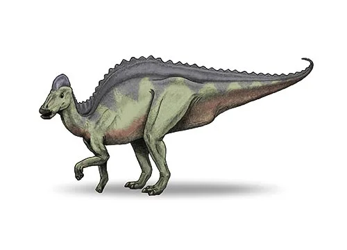 Hypacrosaurus ‭(‬near the highest lizard‭)‬