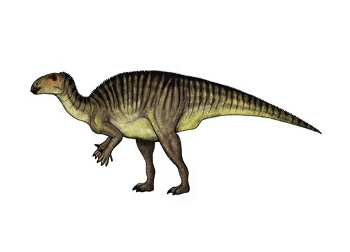 Jinzhousaurus ‭(‬Jinzhou lizard‭)‬