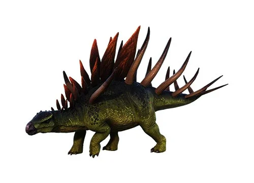 Kentrosaurus‭ (‬Spike lizard‭)‬