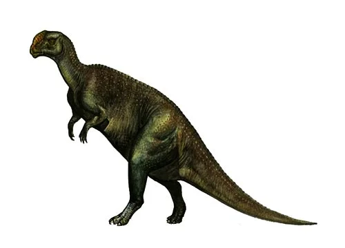 Kritosaurus ‭(‬Seperated lizard‭)