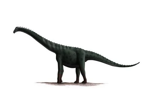 Lapparentosaurus ‭(‬Lapparent’s lizard)