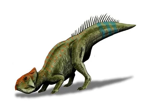 Leptoceratops (Small horned face)