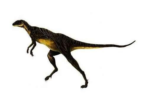 Lesothosaurus ‭(‬Lesotho lizard‭)‬