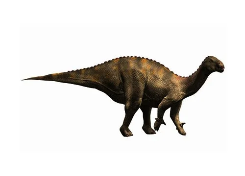 Lurdusaurus ‭(‬heavy lizard‭)