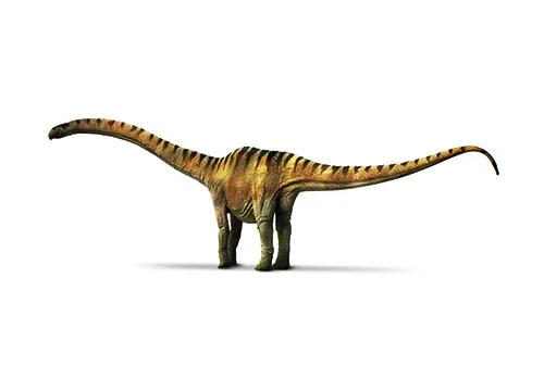Mamenchisaurus (Mamenxi lizard)