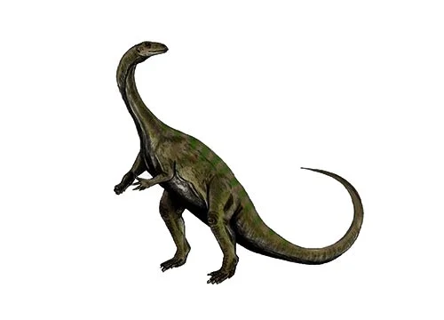 Massospondylus ‭(‬longer vertebra‭)‬