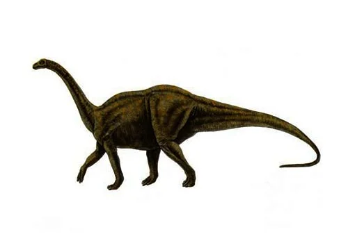 Melanorosaurus ‭(‬Black mountain lizard‭)