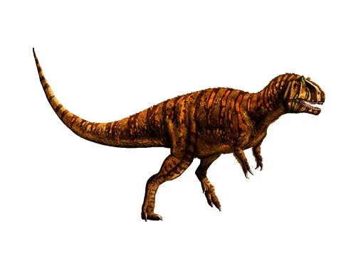 Metriacanthosaurus ‭(‬Moderately spined lizard‭)