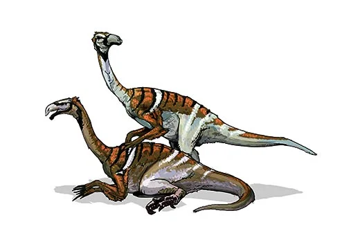Nanshiungosaurus ‭(‬Nanshiung lizard‭)