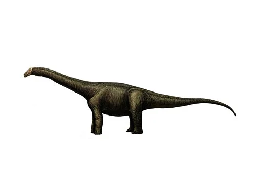 Nemegtosaurus (Nemegt lizard)