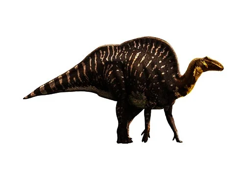 Ouranosaurus ‭(‬Brave lizard‭)