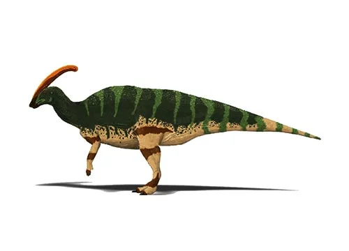 Parasaurolophus ‭(‬Near Saurolophus/Near lizard crest‭)‬