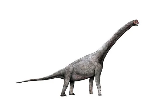 Pelorosaurus ‭(‬Monstrous lizard‭)