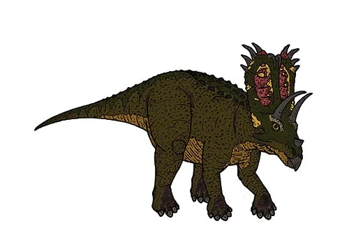 Pentaceratops (Five horn face)