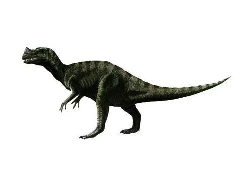 Proceratosaurus ‭(‬Before‭ ‬Ceratosaurus‭)