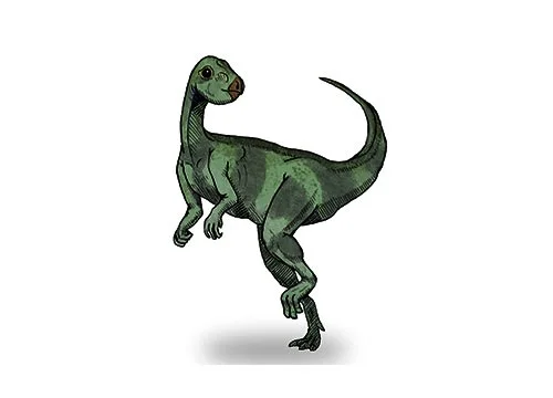 Qantassaurus ‭(‬Qantas lizard‭)