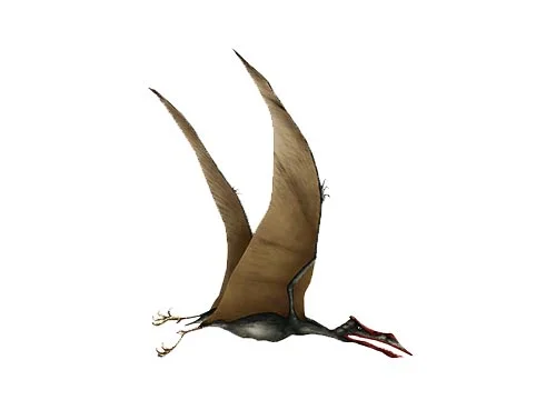 Quetzalcoatlus‭ (‬from Quetzalcoatl‭)