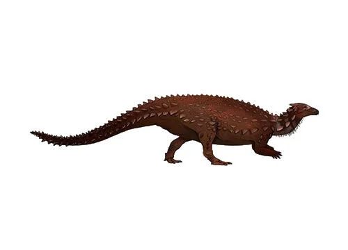 Scelidosaurus ‭(‬limb lizard‭)