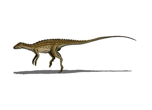 Scutellosaurus ‭(‬Little shielded lizard‭)