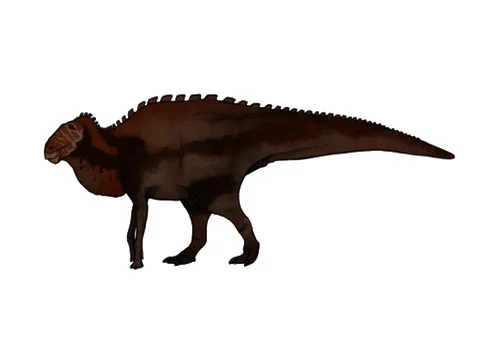 Secernosaurus ‭(‬Severed lizard‭)‬