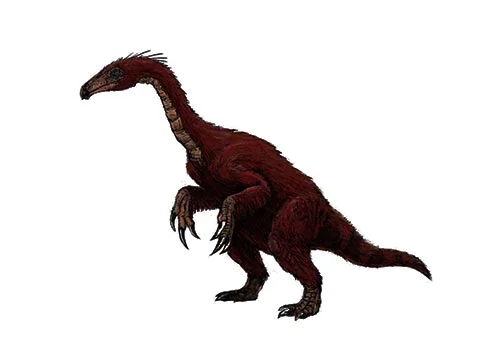 Segnosaurus ‭(‬Slow lizard‭)